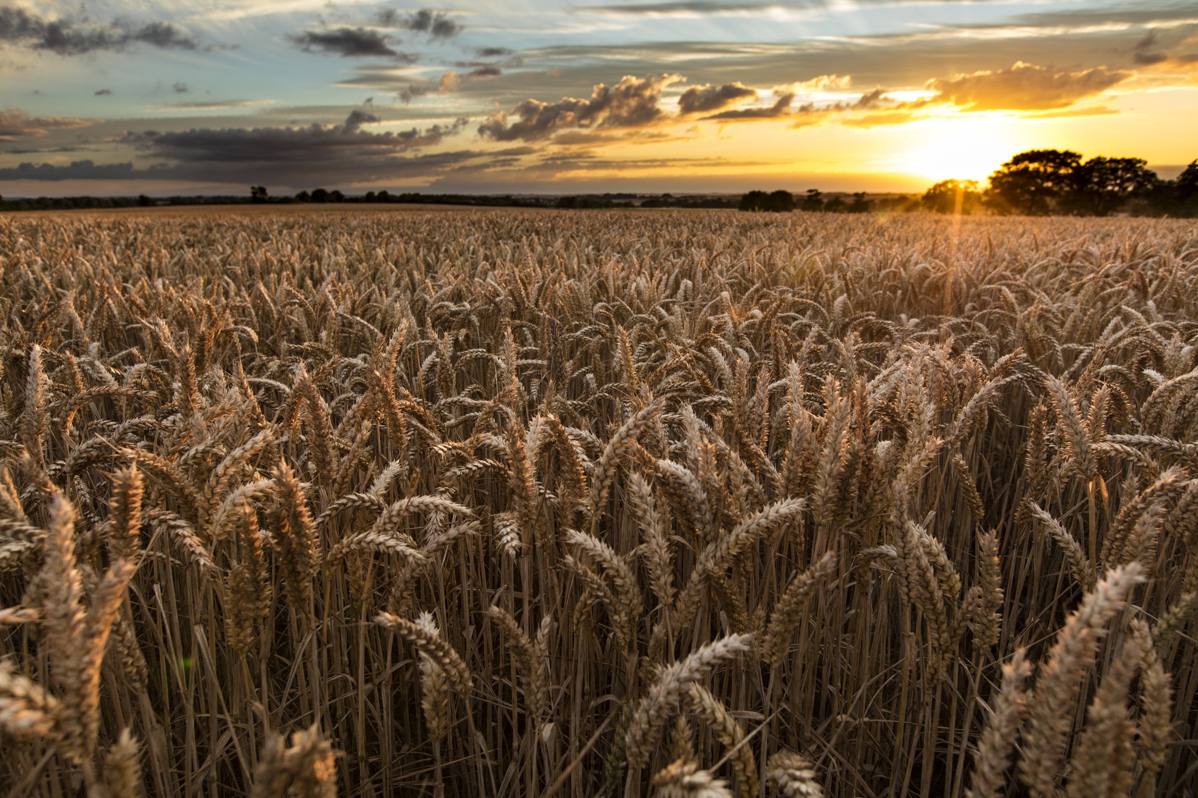 Near Caistor, Lincolnshire, UK, July 2017, View of Lincolnshire Wolds and a sunset Near Caistor, Lincolnshire, UK, July 2017, View of Lincolnshire Wolds and a sunset