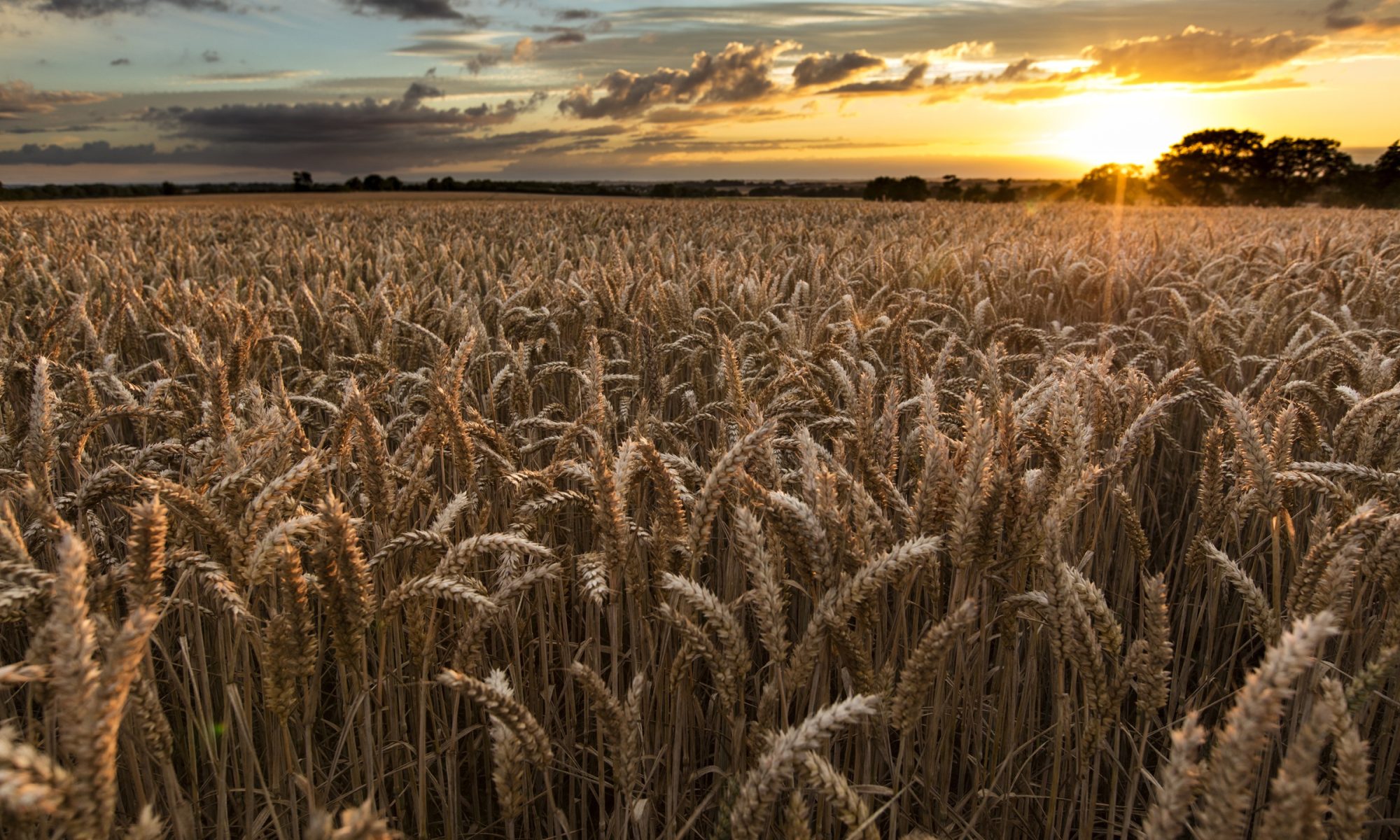 Near Caistor, Lincolnshire, UK, July 2017, View of Lincolnshire Wolds and a sunset Near Caistor, Lincolnshire, UK, July 2017, View of Lincolnshire Wolds and a sunset